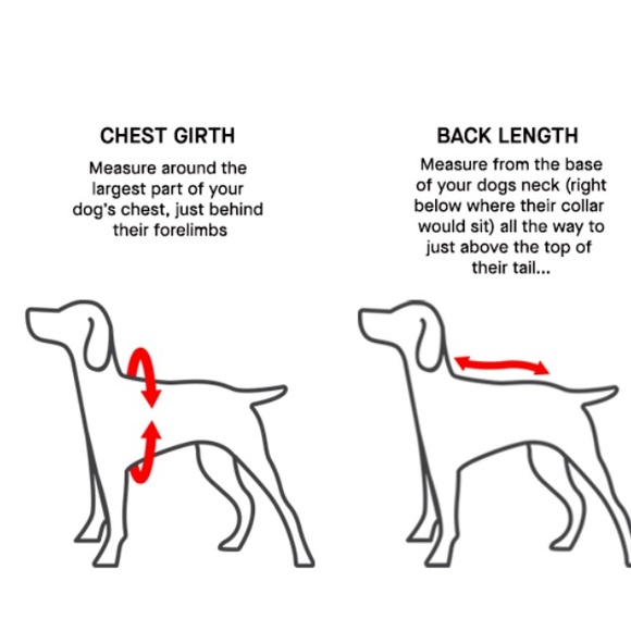 Canada Pooch Chill Seeker dog cooling vest size 22 NWT blue and gray - Picture 7 of 7